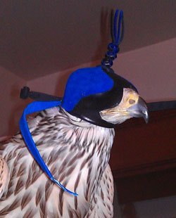 Altawash New Falconry Hood Dutch For American Kestrel Red Black Lanner & Sparrow Hawk 